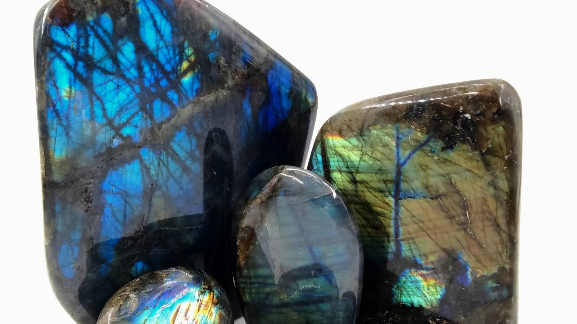 Labradorites polies et taillées, dévoilant des reflets irisés bleus, verts et dorés, semblables à des éclats de lumière piégés dans la pierre.